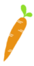 icon carrot